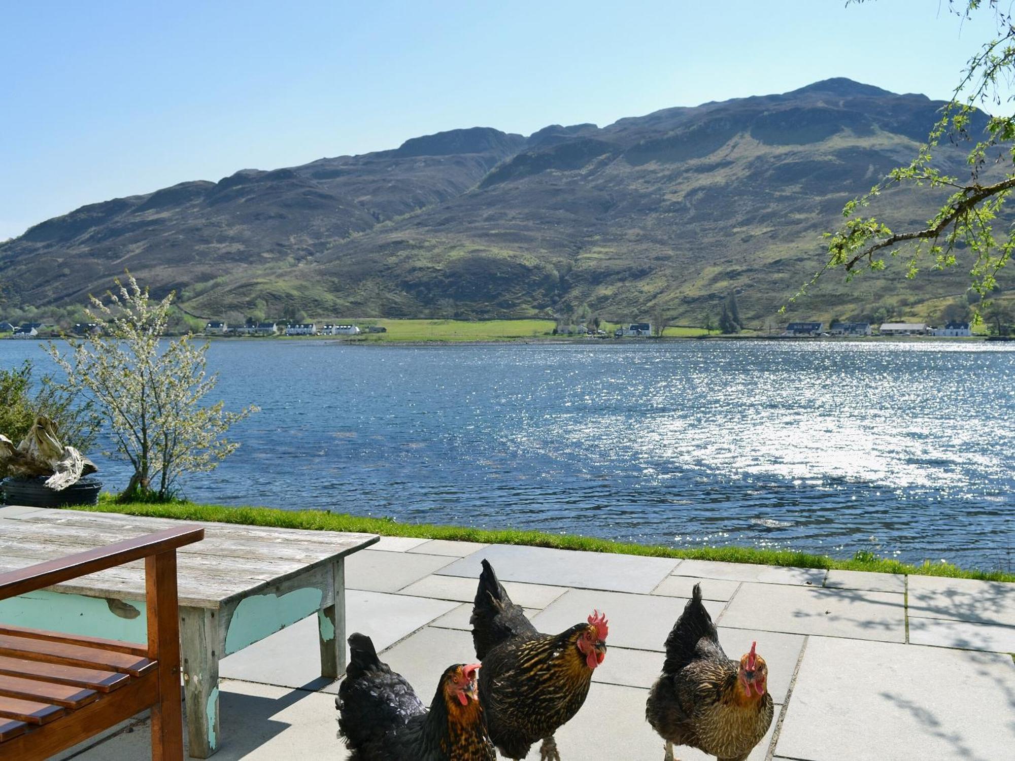 Loch Shore Cottage Dornie Exterior photo